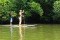 Mangrove Forest