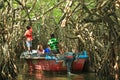 Mangrove Forest