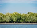 Mangrove forest in the Tanintharyi Region, Myanmar