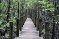 Mangrove forest with wood Walk way Royalty Free Stock Photo