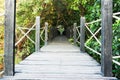 Mangrove forest with wood Walk way Royalty Free Stock Photo