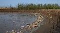 Mangrove forests contaminated with plastic waste, wiyh selective focus