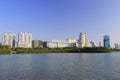 Mangrove forests lakeshore