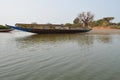 Mangrove forests in the Saloum river Delta area, Senegal, West Africa Royalty Free Stock Photo