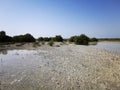 Al Jubail mangrove park in summer Abudhabi,UAE. Royalty Free Stock Photo