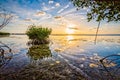 Mangrove patch and sunset near key West, FL Royalty Free Stock Photo