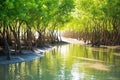 mangrove plantation to reduce coastal erosion