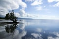 Mangrove reflections siquijor island philippines Royalty Free Stock Photo