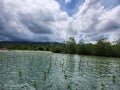 Mangrove rehabilitation in Poso District, Central Sulawesi, Indonesia