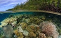 Mangrove Ridge, Raja ampat, Indonesia 05 Royalty Free Stock Photo