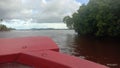 Mangrove river