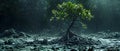 Mangrove\'s Fortitude Against Seas. Concept Mangrove Ecosystem, Adaptation, Coastal Resilience,