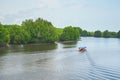 Mangrove scenery at Rak Samae bridge in Rayong