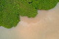 Aerial view of Mangrove and seashore