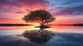 Mangrove: Serene Lake Reflecting Stunning Sunset