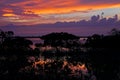 Mangrove Sunset Royalty Free Stock Photo