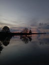 Mangrove Sunset