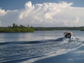 Mangrove swamp Royalty Free Stock Photo