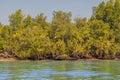Mangrove swamps beside the channel leading to Phang Nga Bay in Thailand