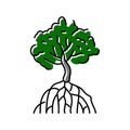 mangrove tree color icon vector illustration Royalty Free Stock Photo