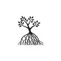 Mangrove tree icon logo vector design
