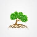 Mangrove tree with roots and green leaves vector illustration Royalty Free Stock Photo