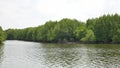 Mangrove Tree Roots in Slow-moving Waters Allow Fine Sediments to Accumulate