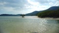 Mangrove trees in the Philippines Royalty Free Stock Photo