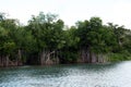 Mangroves Royalty Free Stock Photo