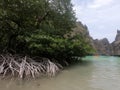 Mangroves in Big lagoon. Miniloc island. Bacuit archipelago. El Nido. Palawan. Philippines Royalty Free Stock Photo