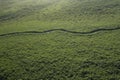 Aerial of Mangroves, Everglades National Park