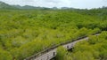 Mangroves forest  on flood plain in Pranburi national park Thailand. Royalty Free Stock Photo