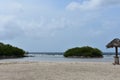 Mangroves on the White Sand Beach at Mango Halto Royalty Free Stock Photo