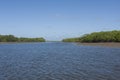 Mangrove of Mangue Seco in Bahia, Brazil