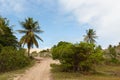 Mangue Seco, JandaÃÂ­ra, Bahia, Brazil