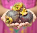 Mangustan or Mangostan Royalty Free Stock Photo