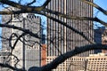Manhattan architecture seen through spring trees Royalty Free Stock Photo