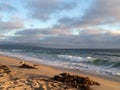 Manhattan Beach California sand kelp Royalty Free Stock Photo