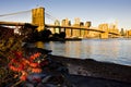 Manhattan with Brooklyn Bridge, New York City, USA Royalty Free Stock Photo