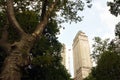 New York , Manhattan, Central Park Royalty Free Stock Photo