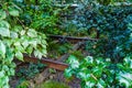 Manhattan, New York, USA - August 29, 2019: High Line Park in Manhattan. View of the surrounding houses and parks. High Line is a Royalty Free Stock Photo