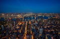 Manhattan skyline from above at dusk, New York City Royalty Free Stock Photo