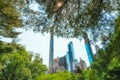 Manhattan Skyline Framed by Nature. View from Central Park, New York City Royalty Free Stock Photo