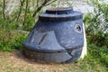 A manhole with an animals face painted on at Murphey Candler Park surrounded by lush green plants on the banks of the lake