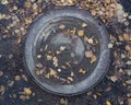 Manhole in autumn foliage. Slush, bad weather Royalty Free Stock Photo