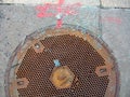 Manhole Cover Royalty Free Stock Photo