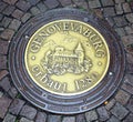 Manhole cower