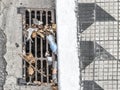 manhole with garbage next to a sidewalk Royalty Free Stock Photo