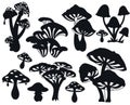 Manic mushroom flat silhouettes bundle vector Stock Silhouettes Royalty Free Stock Photo