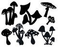 Manic mushroom flat silhouettes bundle vector Stock Silhouettes Royalty Free Stock Photo